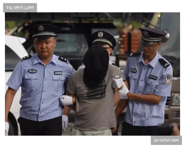 成功逮捕一名涉嫌网络威胁英超球员家属的嫌疑人